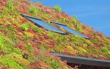 Glassford living roof systems
